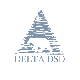 Delta DSD JV